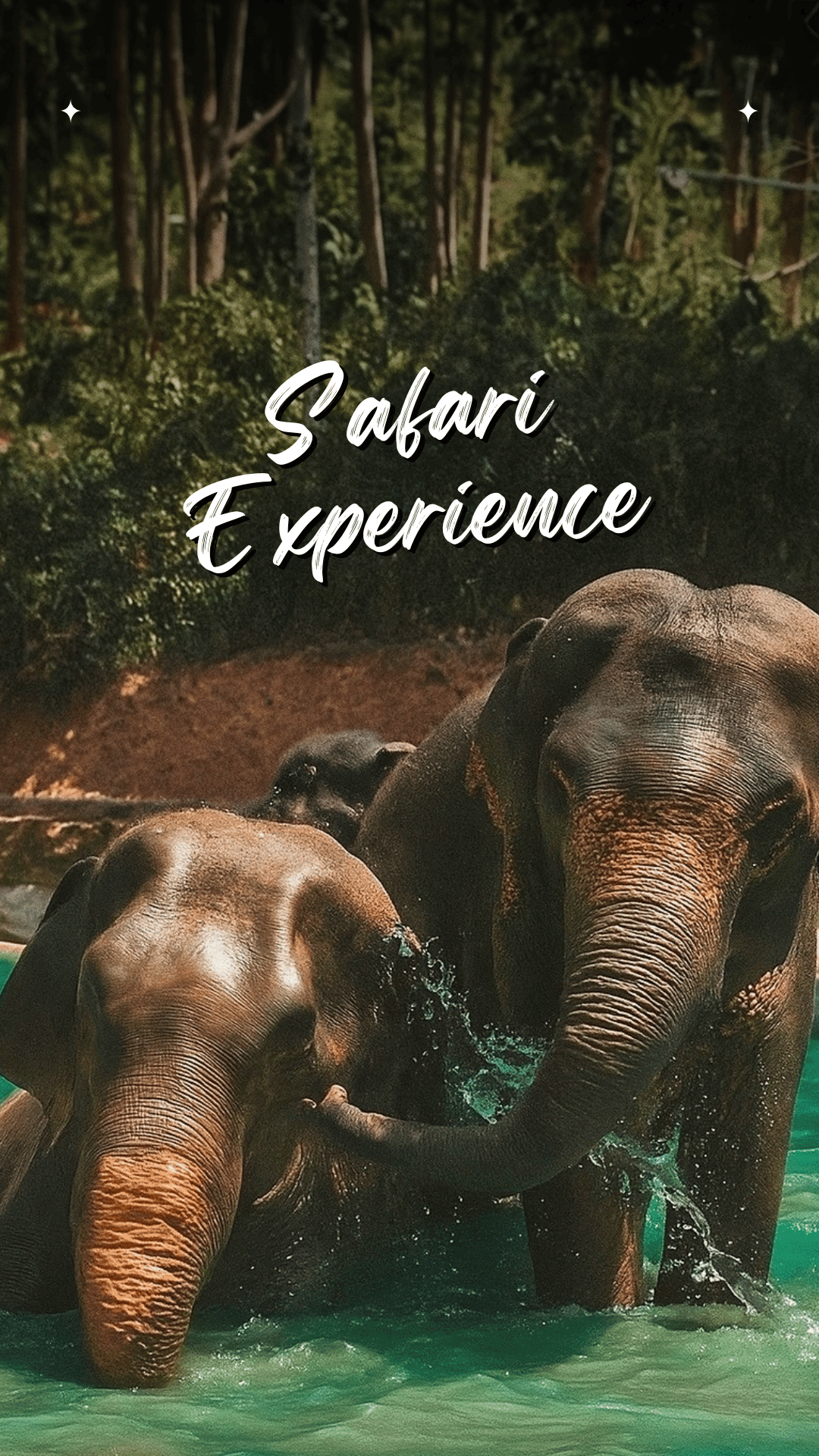 ประสบการณ์ซาฟารี